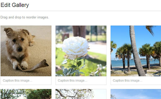Add captions and arrange image order for gallery