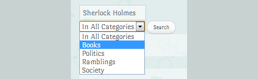 Category search box